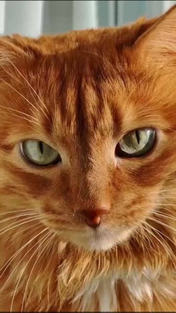 trim.50C6985F-2959-4A24-9F8E-4EC82CF98E9E