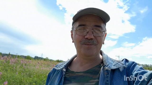 Июль 2025 Иван чай.