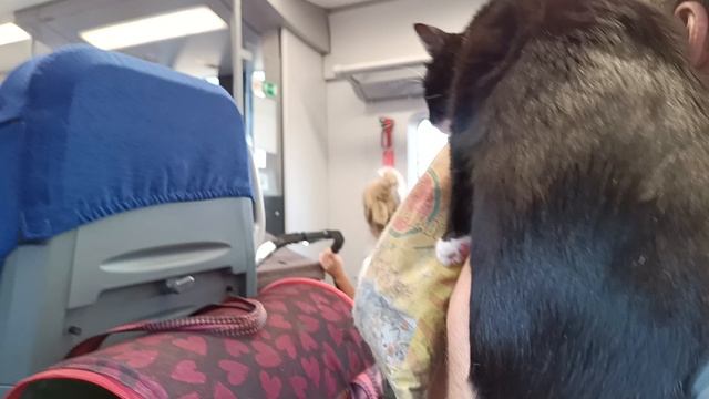 Дети интернета не видят нашу красавицу