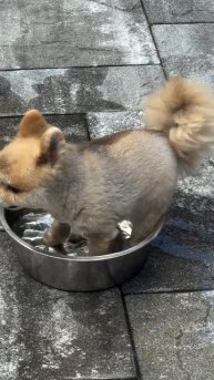 отпуск только такой