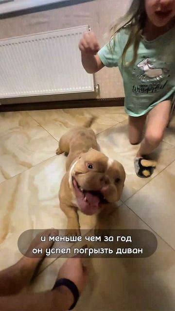 Скинемся на Гелик? 😎😂