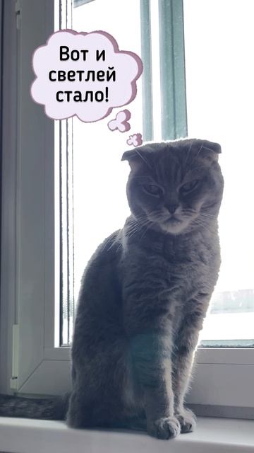 КошКомиксы. Серия 29 «Дестина-волшебница» (часть1)