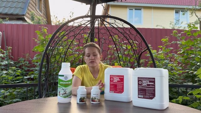 Фунгициды, без которых нельзя. Самые необходимые препараты на сезон.