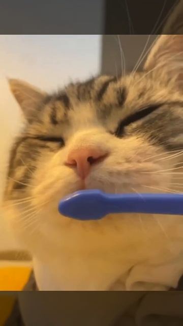 trim.59B6A6D4-9749-4B6C-B031-2C19A974BCE4