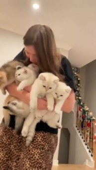 trim.48EC342D-8F5E-4E77-9679-7C970BC7600F