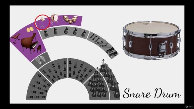 5. Percussion (Rhythmic)