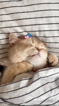 trim.58D7F844-547D-440F-89B9-D8E046196557