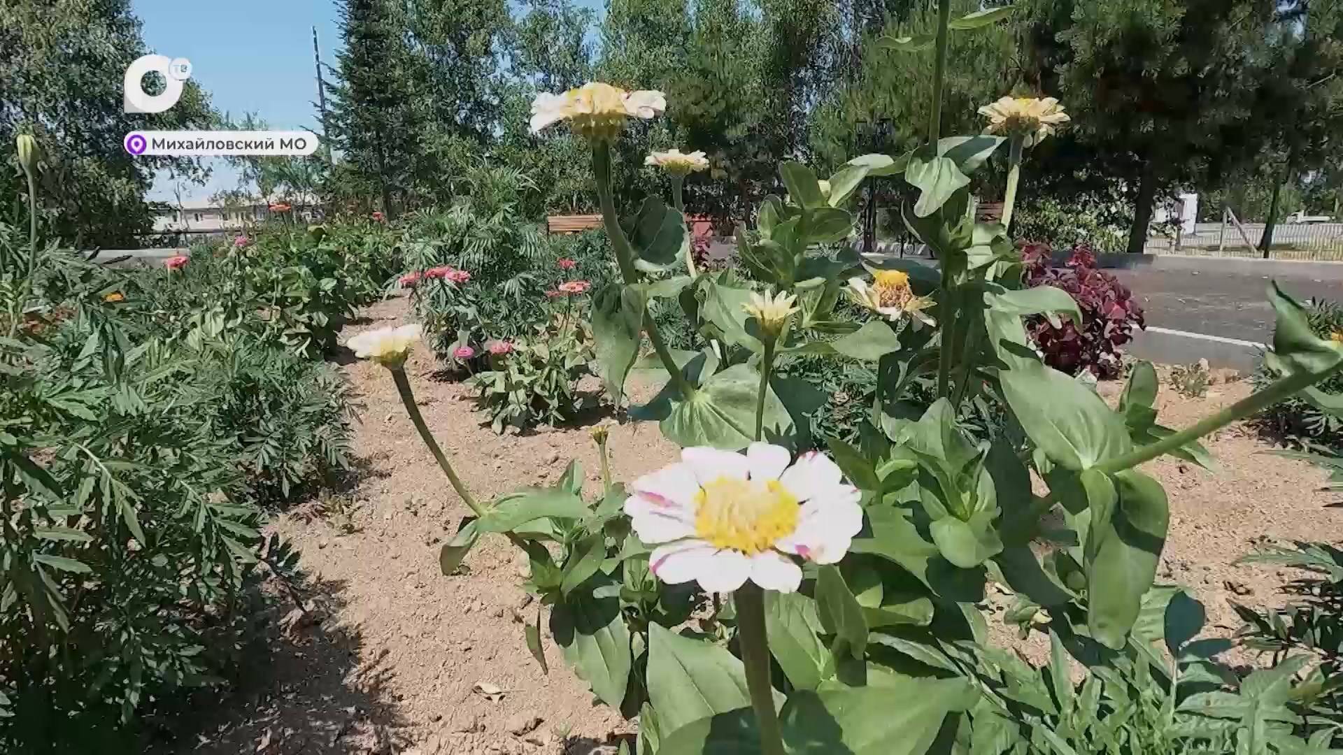 Земля Приморская / Программы в Михайловском округе / 26.07.25