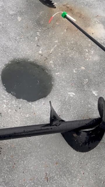 Первый лед. Рыбалка в Омске