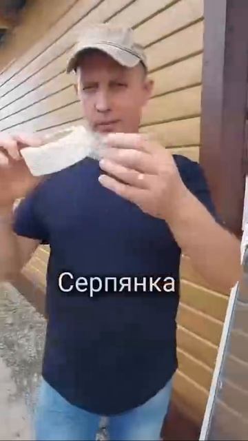 Simple window grid repair