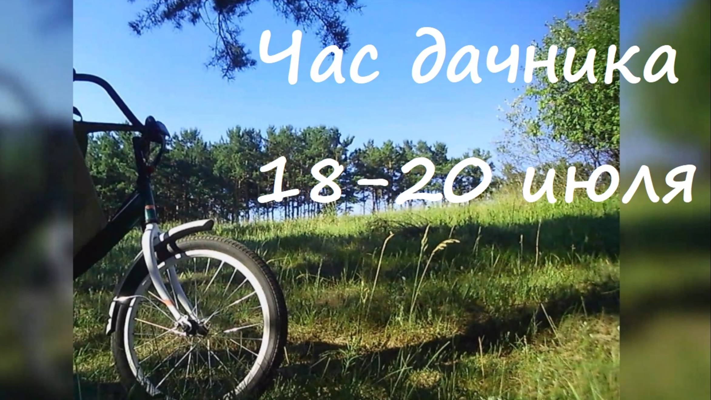 Сладка ягода