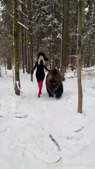 Домашний медведь