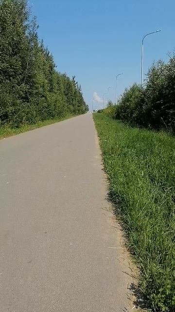 К заливу