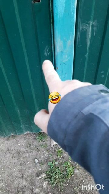 Животные.Сборник моментов из жизни братьев меньших.Фильм1.Серия6.Часть2 .mp4