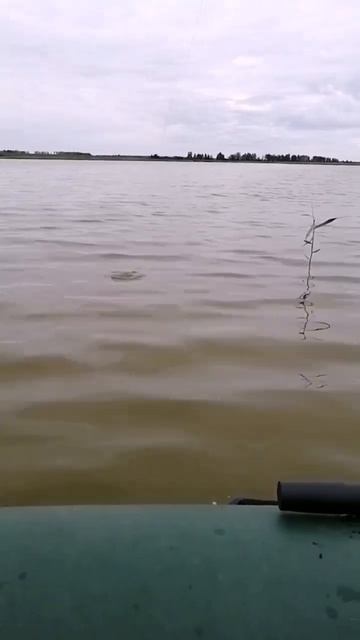 Рыбалка в Омске. Саргатский район.