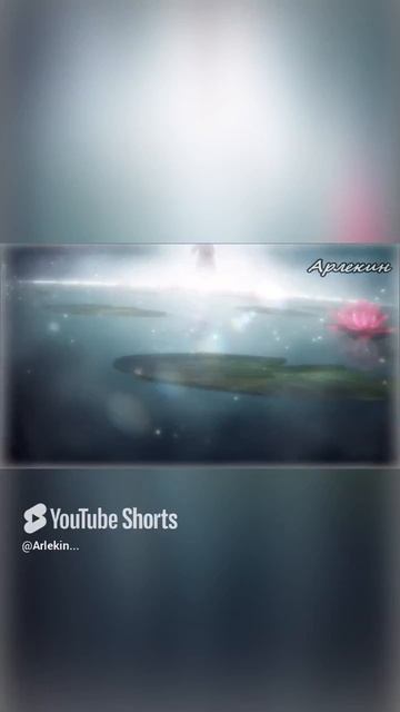 Посмотри как плывут облака shorts #shorts #short #shortsvideo #shortvideo #амв #amv #аниме