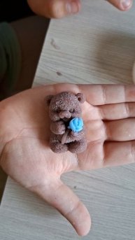 малыш медвежонок