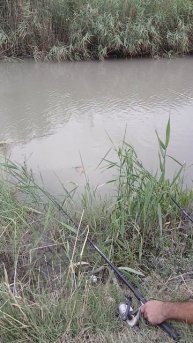 Рыбалка в Бишкеке,поймали огромную рыбу.Кыргызстан,Манас, ловим очень много рыбы