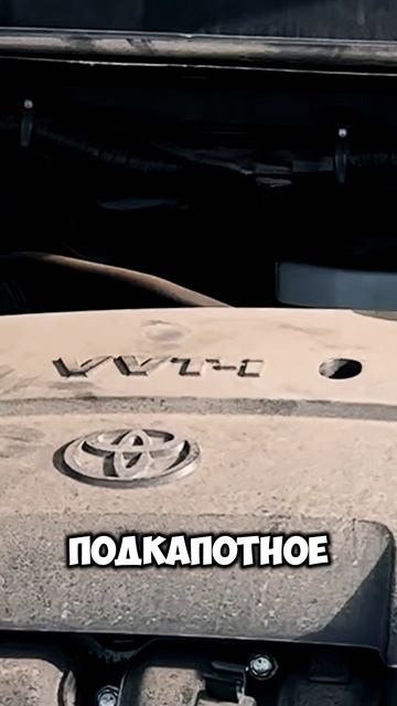 ЗАЧЕМ ЛЮДИ БЕРУТ PROBOX? ПОСЛЕ ЭТОГО ОБЗОРА ПОЙМЁТЕ