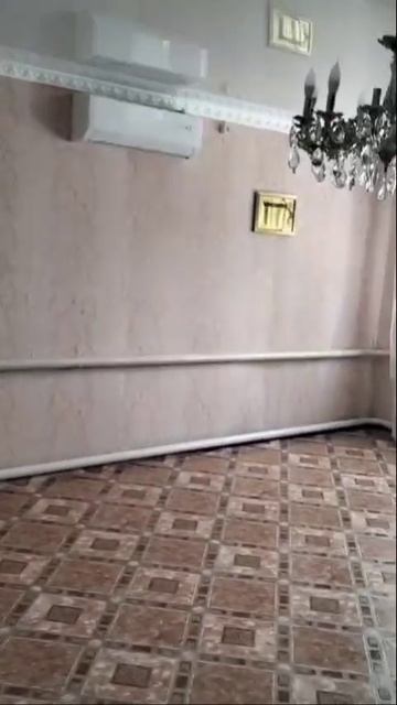 petal_20250726_194842.mp4