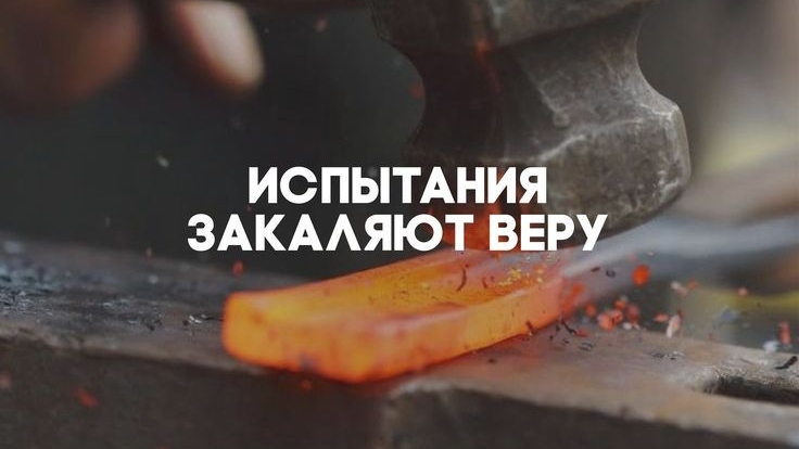 ВСЁ ПО СИЛАМ❗