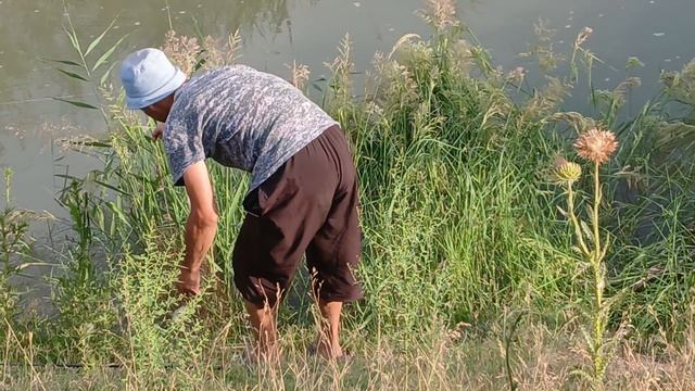 Рыбалка в Бишкеке,поймали огромную рыбу.Кыргызстан,Манас, ловим очень много рыбы