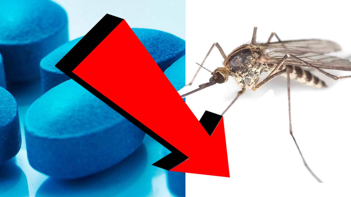 Как избавиться от комаров За 3 Секунды.!.!!!!.!.