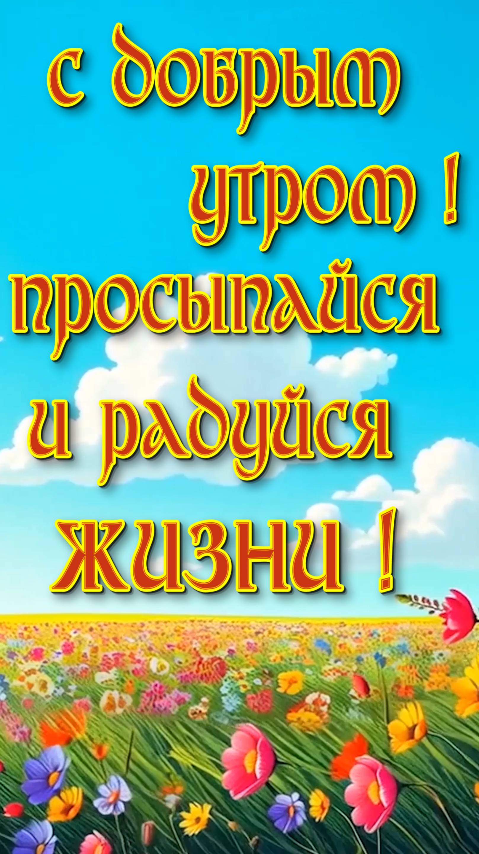 С Добрым утром !