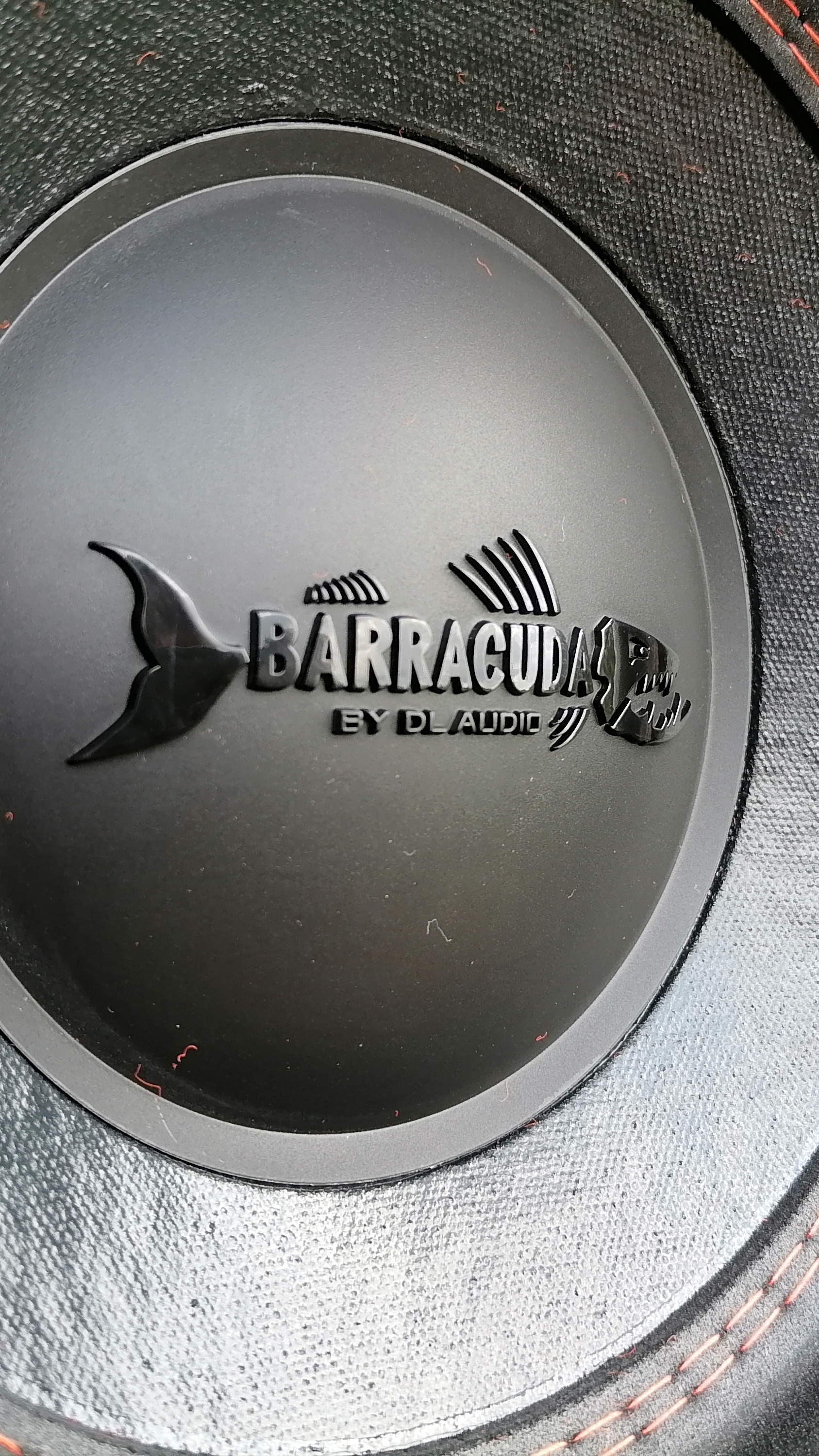 Активный сабвуфер DL AUDIO BARRACUDA 12A