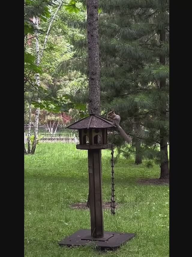 Белки Покровский монастырь