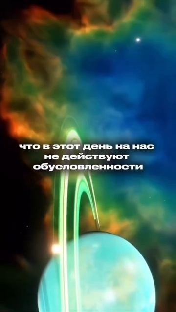 1000026469.mp4
