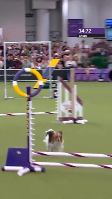 Прекрасное выступление 👍❤️🤩🥰😉😘