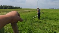 Косим траву для кроликов