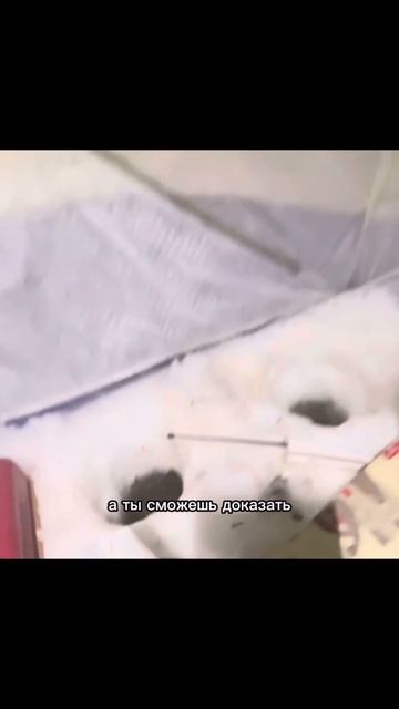 Уверенная рыбалка, с уверенными поклевками