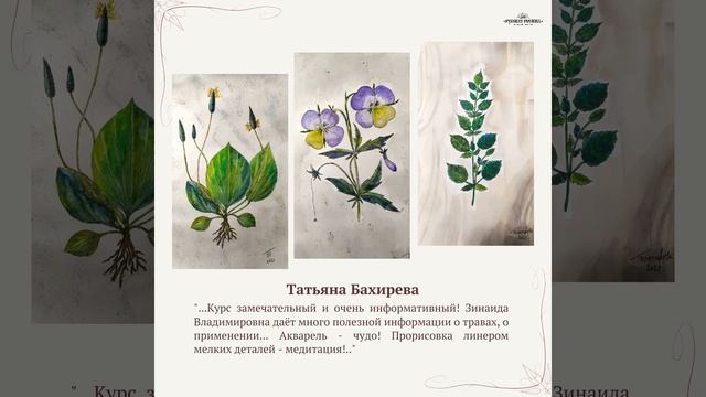 Работы учеников курсов графики