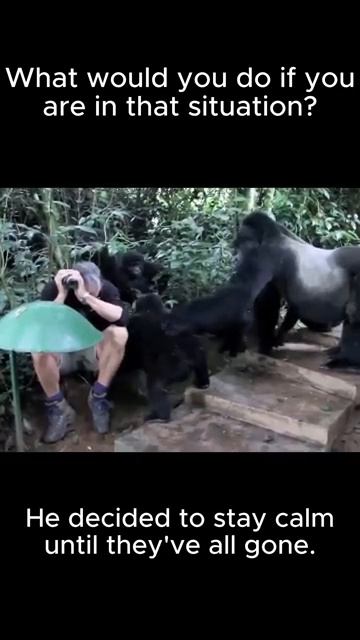 VID_20250726_041547_407.mp4