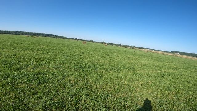 Отработака поиска
Кира 9 месяцев