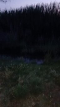 Рыбалка в Бишкеке,поймали огромную рыбу.Кыргызстан,Манас, ловим очень много рыбы