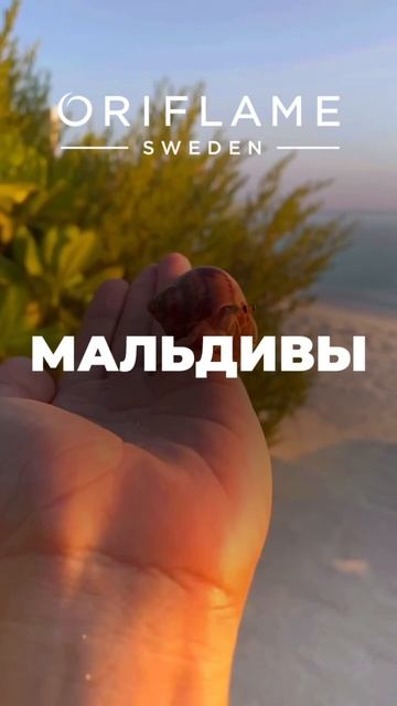 Мечты сбудутся