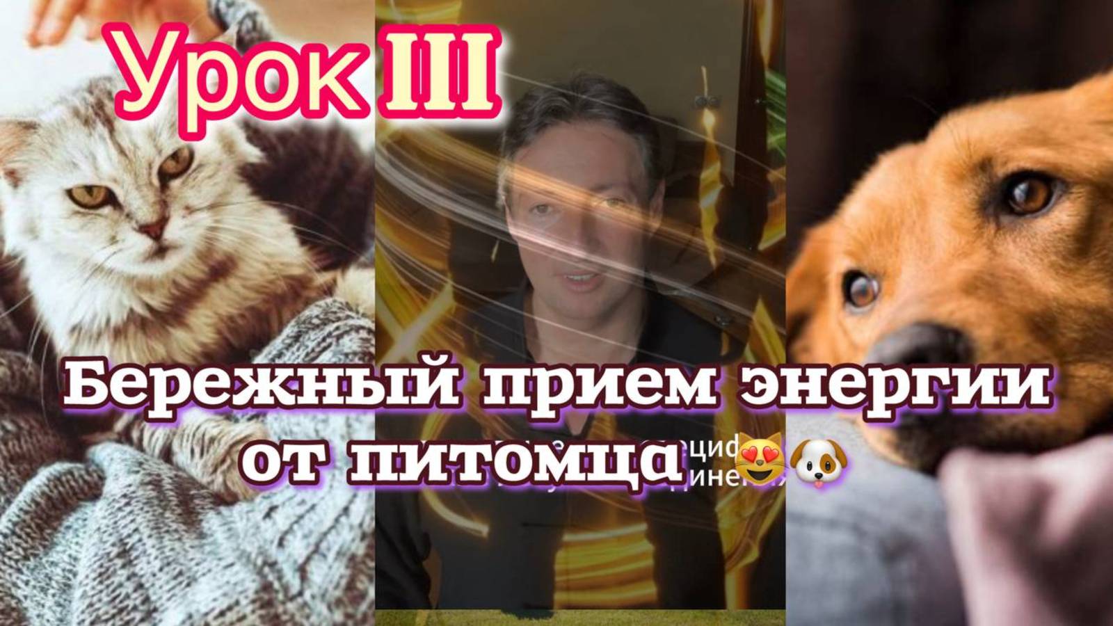Как бережно принять энергию от питомца без вреда для него - 3й урок 😻🐶 #энергия #питомец