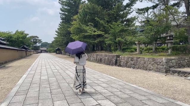 VLOG 1: храмы Хорю-дзи и Касихара-дзингу. Япония