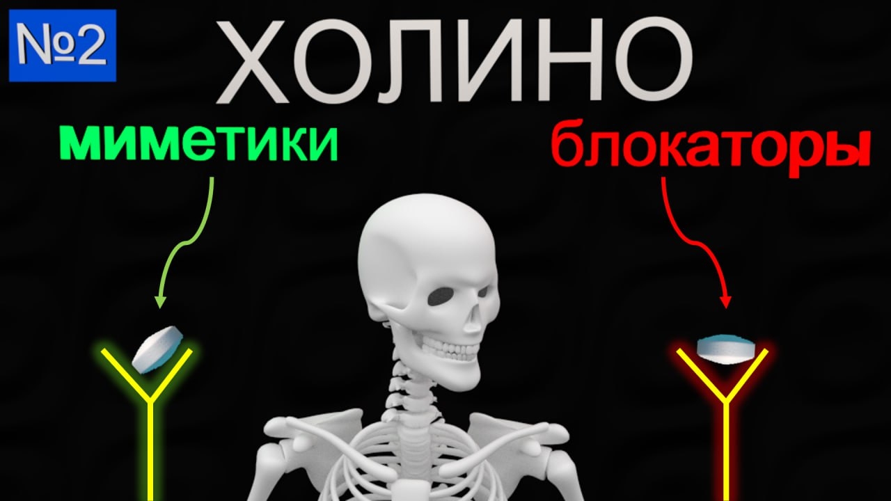 Препараты, влияющие на холинорецепторы | Medanatfarm