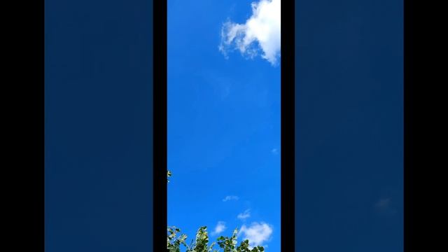 прогулка в хорошую погоду