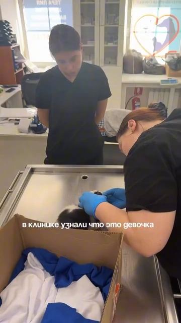 Подпишись на наш канал на Rutube. Каждый день мы публикуем самые интересные места в Санкт-Петербу...