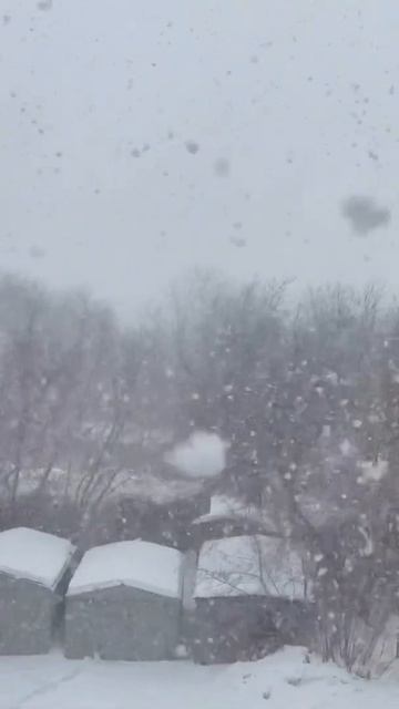 Сибирская весна  Это Омск детка  24.03.2022