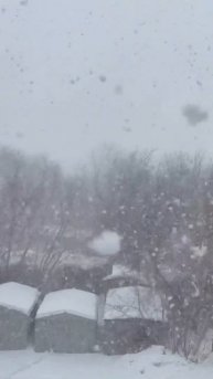 Сибирская весна Это Омск детка 24.03.2022