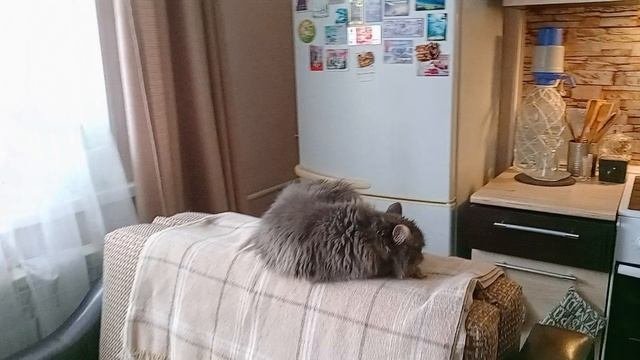 Филя с утра возле холодильника