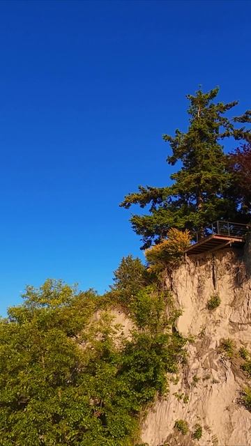 🌊 Вид с воздуха на набережную Шилшол, Сиэтл 🚁
Снято на дрон DJI Avata FPV