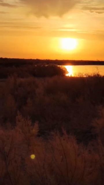 Сплав 2023. Река Сырдарья.