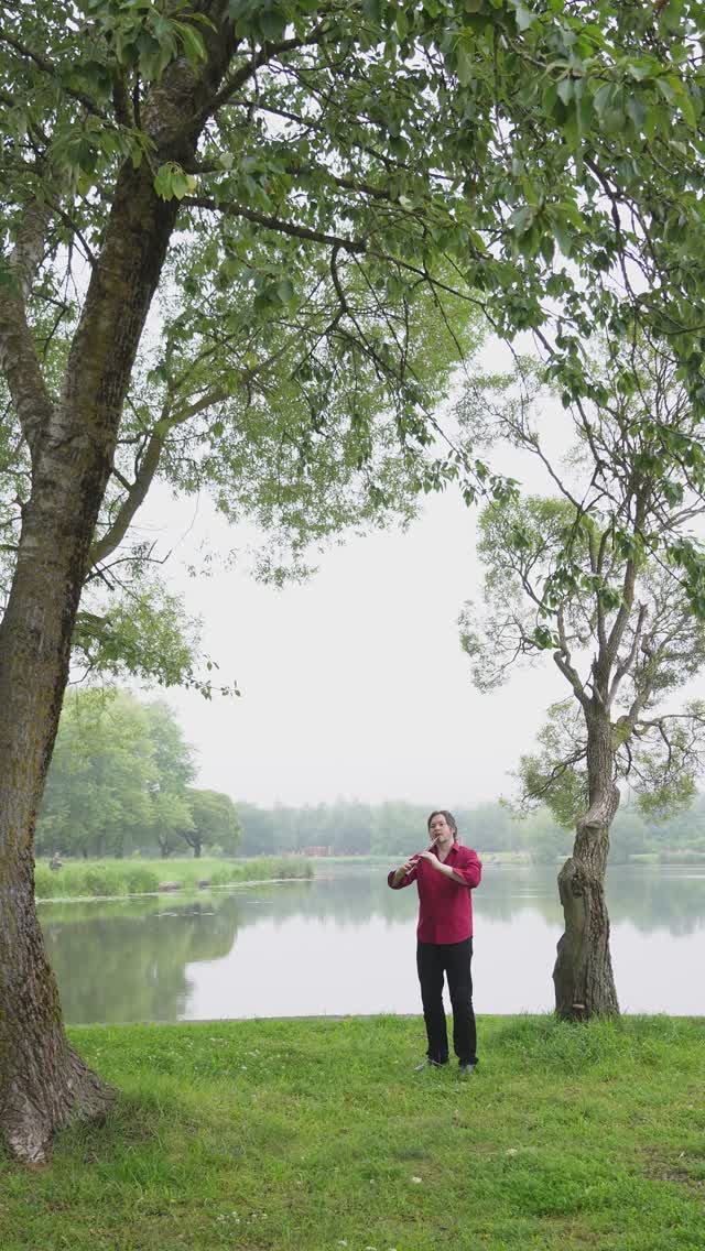 Музыка из фильма Властелин Колец - Aniron (Enya)